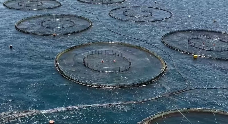 Системы видеонаблюдения Dahua на солнечной энергии на рыбных фермах Турции. Изображение 2